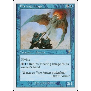Fleeting Image