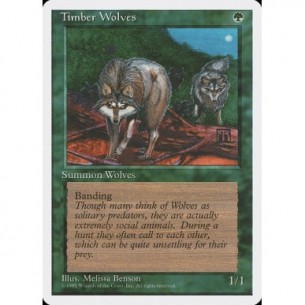 Timber Wolves