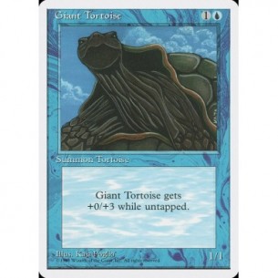 Giant Tortoise