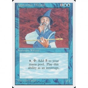 Apprentice Wizard