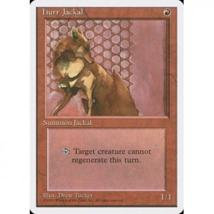 Hurr Jackal