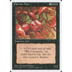 Carrion Ants