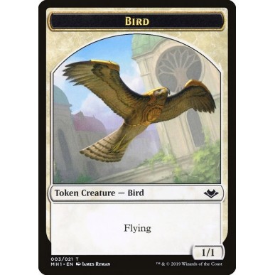 Bird