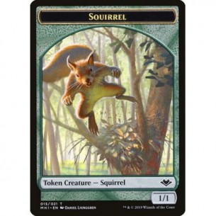 Squirrel