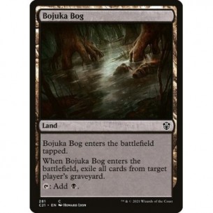 Acquitrino di Bojuka
