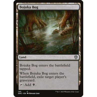 Acquitrino di Bojuka
