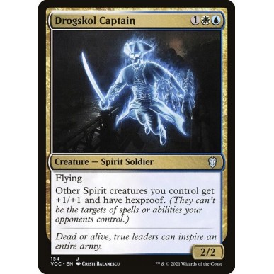 Capitano dei Drogskol