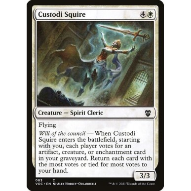 Scudiero dei Custodi