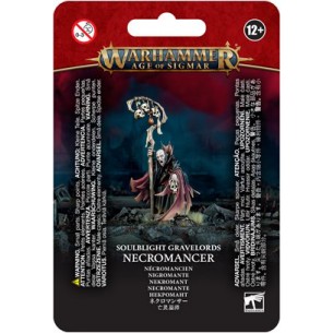 Soulblight Gravelords - Necromancer