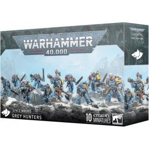 Space Wolves - Grey Hunters