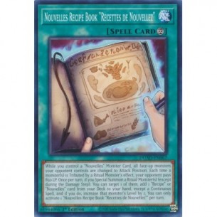 Nouvelles Recipe Book...