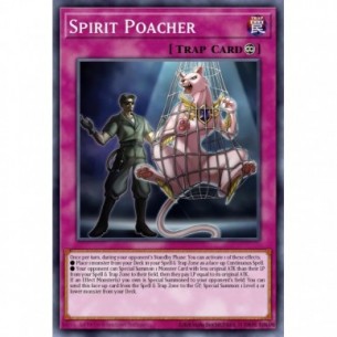 Bracconiere di Spiriti