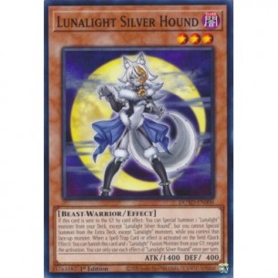 Segugio Argento della...