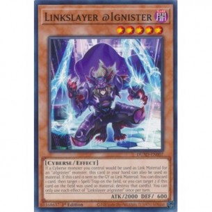 Linkassassino @Ignister