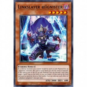 Linkslayer @Ignister