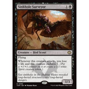 Sinkhole Surveyor