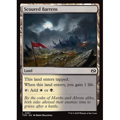 Scoured Barrens