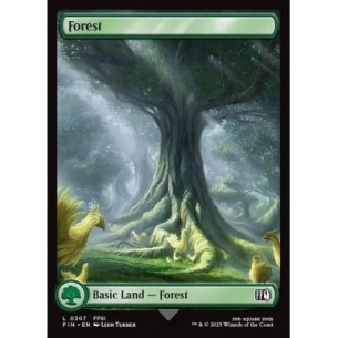Forest
