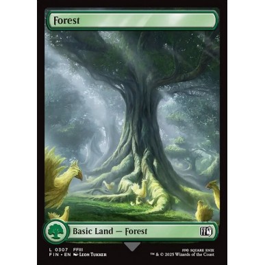 Forest