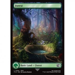 Forest