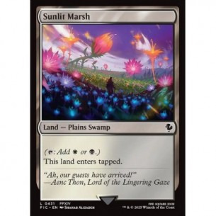 Sunlit Marsh