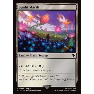 Sunlit Marsh