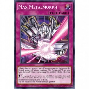 Metalmorph Massimo