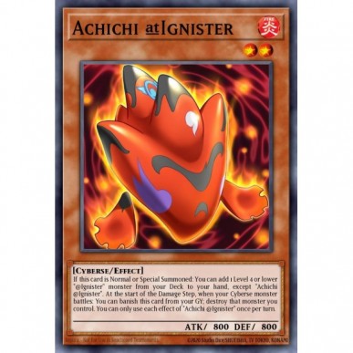 Achichi @Ignister