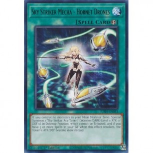 Assaltatrice del Cielo...