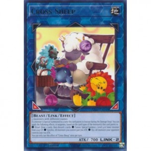 Punto Pecora (V.1 - Rare)