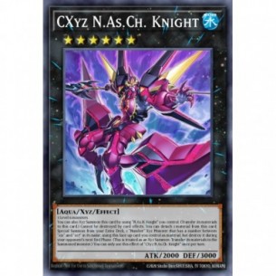 CXyz N.As.Ch. Knight