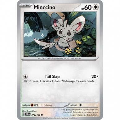 Minccino