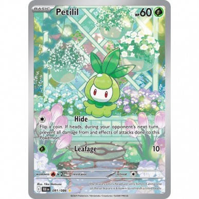 Petilil
