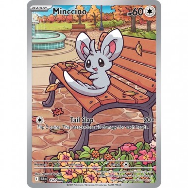 Minccino