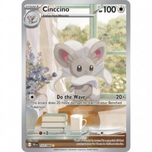 Cinccino