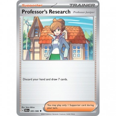 Professor's Research