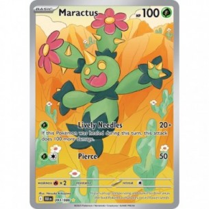 Maractus