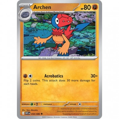 Archen