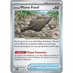 Antique Plume Fossil