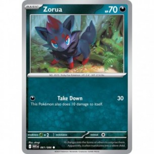 Zorua