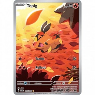 Tepig