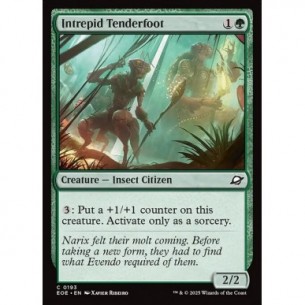 Intrepid Tenderfoot