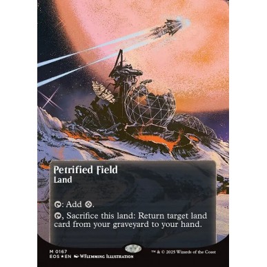 Petrified Field