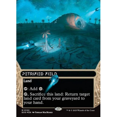 Petrified Field