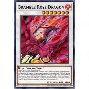 Drago Rosa Rovo (V.1 -...