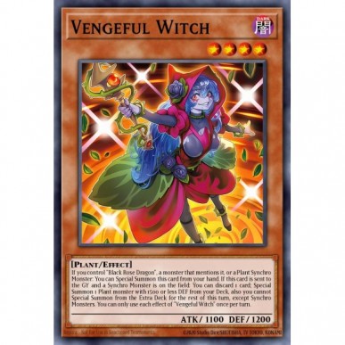 Strega Vendicativa
