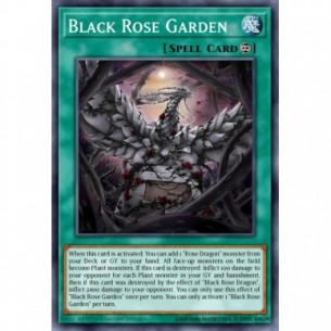 Giardino Rosa Nera (V.2 -...