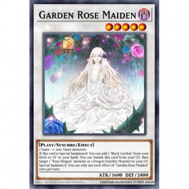 Fanciulla Rosa del Giardino