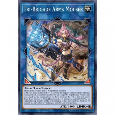 Tri-Brigata Armi Mouser (V.2 -...