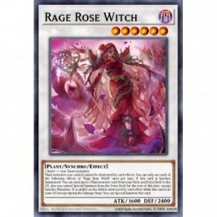 Strega Rosa Rabbia (V.2 -...
